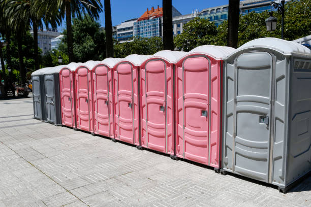 Professional Portable Potty Rental in Lake Monticello, VA